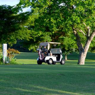 A golf cart parked on a lush green golf course surrounded by trees.
