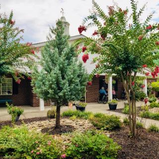 A beautifully landscaped entrance with a variety of trees and flowering plants.