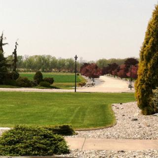 A scenic view of a landscaped park with lush greenery and a winding pathway.