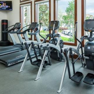 A well-equipped gym featuring treadmills and elliptical machines with large windows providing natural light.