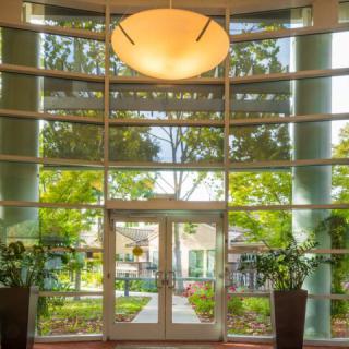 A modern building entrance with large glass windows and potted plants.