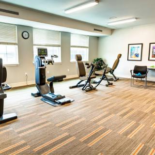 A tidy gym with modern fitness equipment and ample natural light.