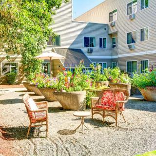 A sunny courtyard with garden planters and outdoor seating.