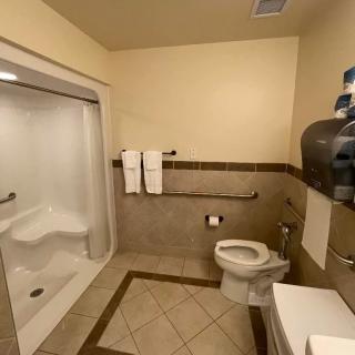 A clean and accessible bathroom with a shower, toilet, and towels neatly arranged.