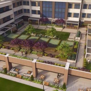 A well-landscaped rooftop garden with various plants and seating areas in an urban building setting.