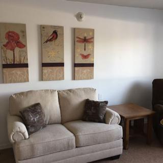A cozy living room with a beige sofa, cushioned pillows, and nature-themed wall art.