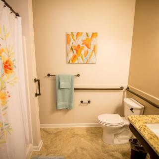 A neatly organized bathroom with a shower curtain, toilet, grab bars, and artwork on the wall.