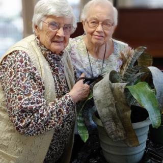 Two elderly women posing happily with a large potted plant.