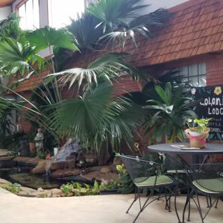 A serene indoor space featuring lush tropical plants, a small fountain, and a cozy seating area.