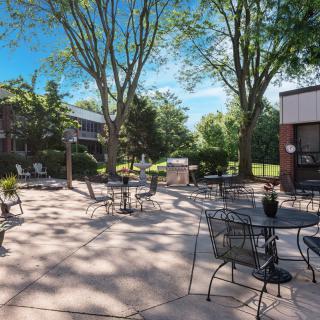 A serene outdoor patio area with tables and chairs, shaded by trees on a sunny day.