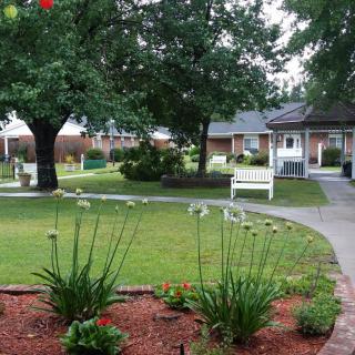 A peaceful garden with lush greenery, benches, and a winding pathway.