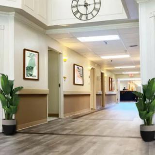 A modern hallway with potted plants and wall decorations.
