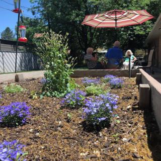A vibrant garden with blooming flowers under a sunny sky, with people relaxing under an umbrella.