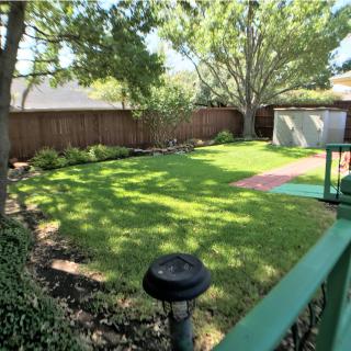 A sunny backyard with a well-maintained lawn, surrounded by trees and a wooden fence.