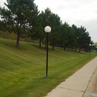 A serene park pathway lined with trees and a lamp post.