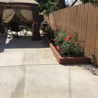 A sunny patio with a garden bed of roses alongside a wooden fence, featuring outdoor furniture under a shade structure.