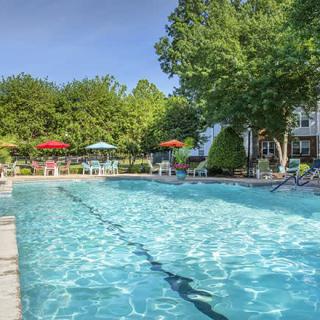 An inviting outdoor swimming pool surrounded by trees and lounge chairs with umbrellas.