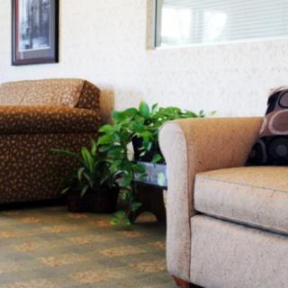 A cozy waiting room with couches, a potted plant, and carpeted flooring.