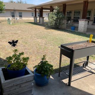 A sunny outdoor space featuring a grill, colorful plants, and a butterfly decoration.