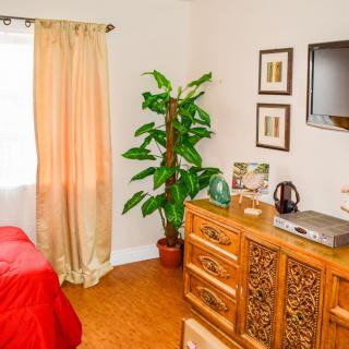 A cozy bedroom interior featuring a dresser, potted plant, and wall-mounted television.