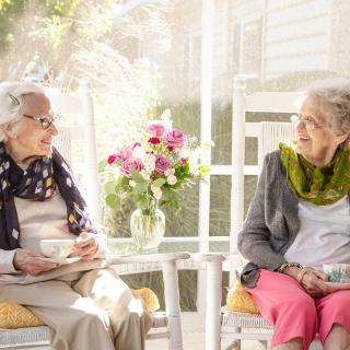 Two elderly women enjoying a conversation in a sunlit room with flowers on the table.