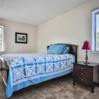 A cozy bedroom with a bed covered in blue bedding next to a nightstand and lamp.