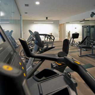 A modern gym with various exercise equipment including treadmills and machines.
