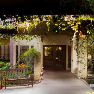 A charming entrance with a bench surrounded by lush greenery and ivy-covered walls.
