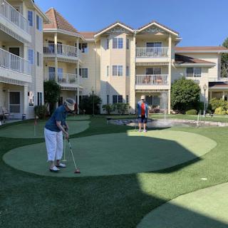 Two individuals enjoying a game of golf on a putting green in a sunny residential area.