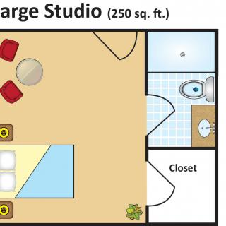 Floor plan of a large studio apartment measuring 250 square feet, featuring a bed, seating area, bathroom, and closet.