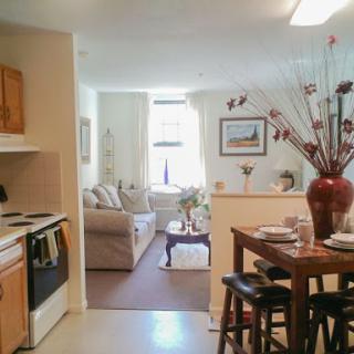 A cozy and inviting open-concept living space featuring a kitchen, dining area, and comfortable seating.