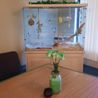 A cozy indoor space featuring an aquarium with decorations and a small plant centerpiece on the table.