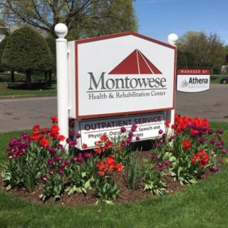 Montowese Health & Rehabilitation Center sign surrounded by blooming flowers.