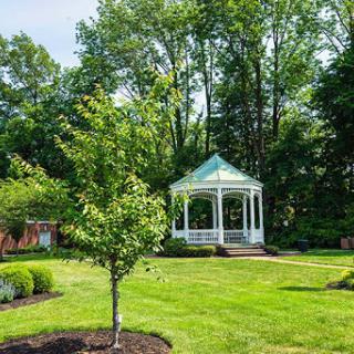 A serene gazebo surrounded by lush greenery in a peaceful park setting.