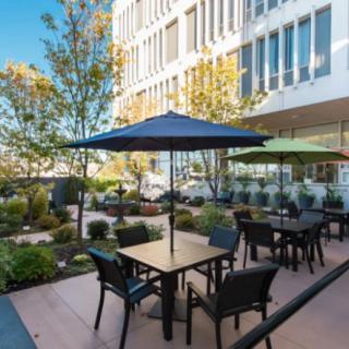 An outdoor patio area with tables, chairs, and umbrellas surrounded by trees and adjacent to a modern building.