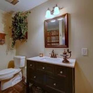 A cozy bathroom with a sink, mirror, and an indoor plant next to the toilet.