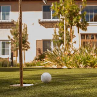 A serene lawn setting featuring a croquet ball near the hoop, perfect for a relaxing game outdoors.