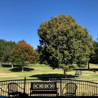 A sunny day at a park with trees, benches, and chairs overlooking a golf course.