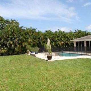 A sunny backyard with a swimming pool, surrounded by green lawn and trees.