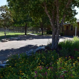 A peaceful garden scene with trees, flowers, and a house in the background.