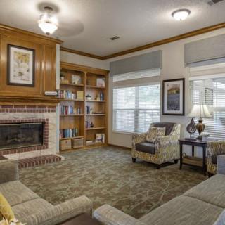 Cozy living room with a fireplace and bookshelves.