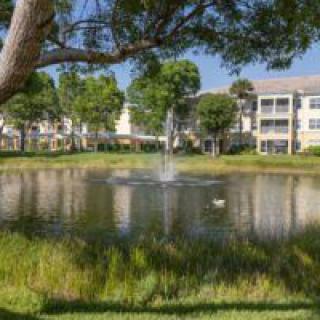 A serene pond with a fountain surrounded by trees and buildings on a sunny day.