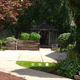 A tranquil garden with a gazebo surrounded by lush greenery and a paved pathway.