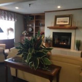 A cozy living room with a fireplace, comfortable furniture, and decorative plants.