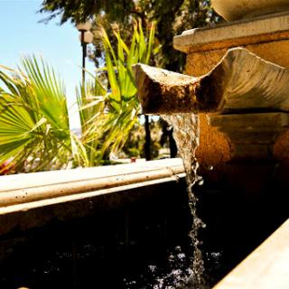 A serene view of water flowing from a fountain, surrounded by lush green palm leaves under the bright sun.