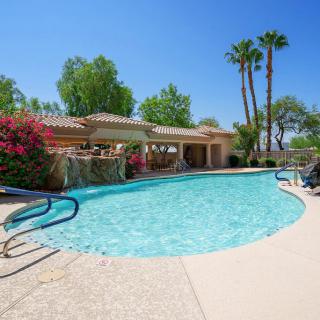 A serene outdoor swimming pool surrounded by lush greenery and palm trees on a sunny day.