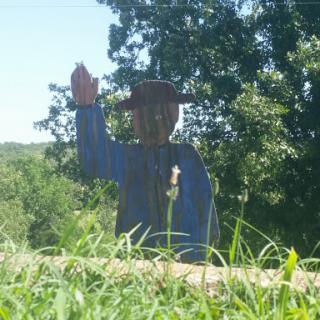 A wooden sculpture of a man waving, surrounded by greenery.