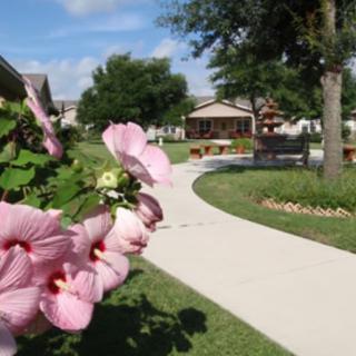 A peaceful garden pathway lined with blooming flowers and lush greenery on a sunny day.