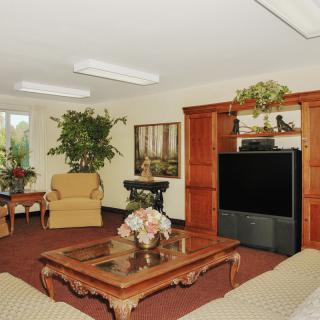 A cozy living room with a large TV, comfortable sofas, and decorative plants.