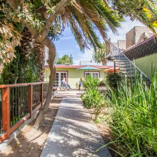 A sunny garden pathway leading to a house, flanked by palm trees and lush greenery.